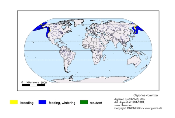 Verbreitungskarte von Cepphus columba
