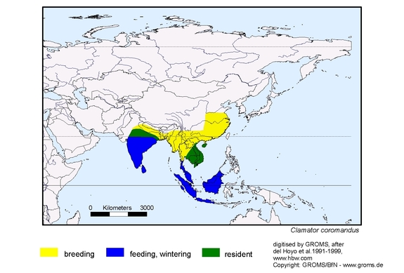 Verbreitungskarte von Clamator coromandus