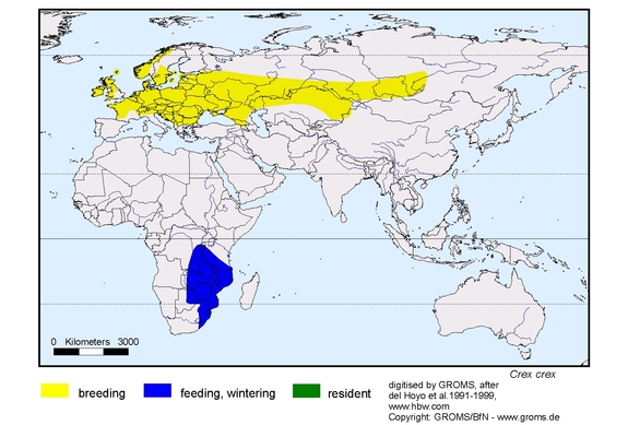 Verbreitungskarte von Crex crex