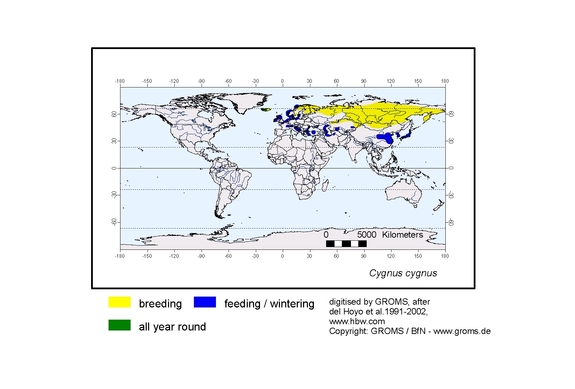 Verbreitungskarte von Cygnus cygnus
