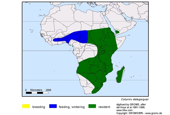 Verbreitungskarte von Coturnix delegorguei