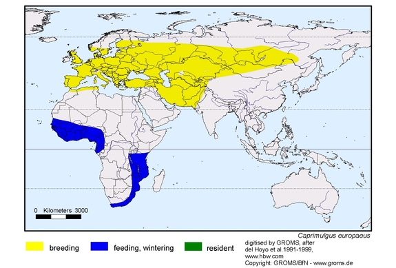 Verbreitungskarte von Caprimulgus europaeus