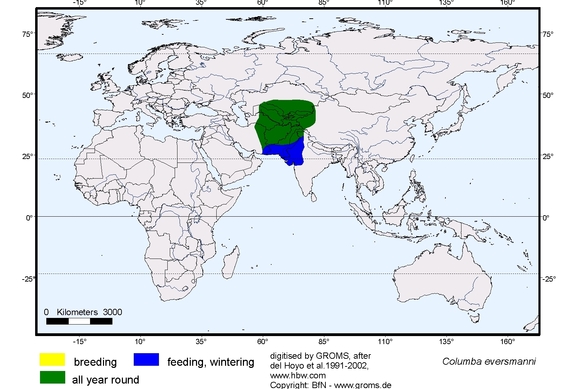 Verbreitungskarte von Columba eversmanni