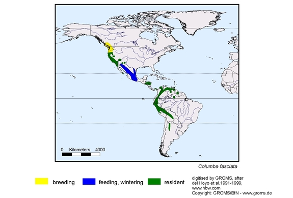 Verbreitungskarte von Columba fasciata