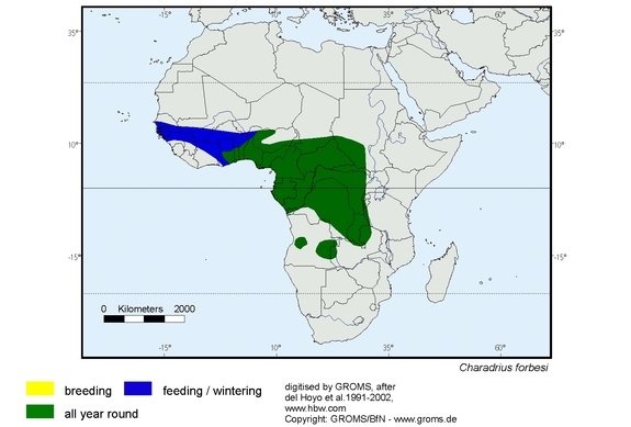 Verbreitungskarte von Charadrius forbesi