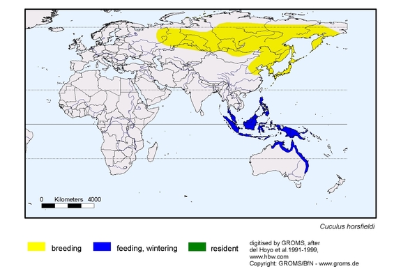 Verbreitungskarte von Cuculus horsfieldi
