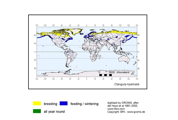 Verbreitungskarte von Clangula hyemalis