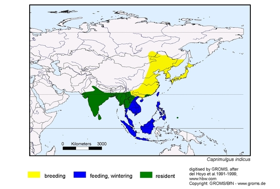 Verbreitungskarte von Caprimulgus indicus