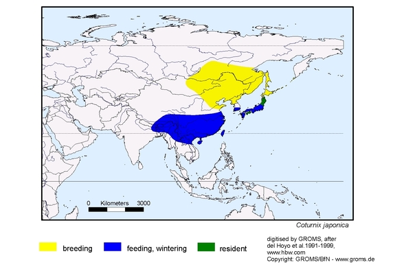 Verbreitungskarte von Coturnix japonica