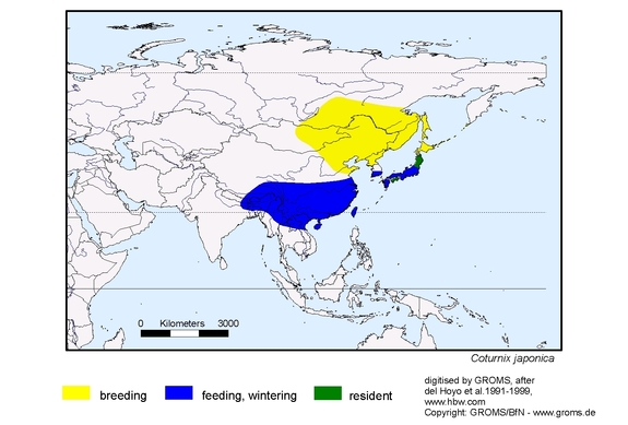 Verbreitungskarte von Coturnix japonica