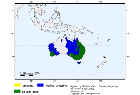 Verbreitungskarte von Chenonetta jubata