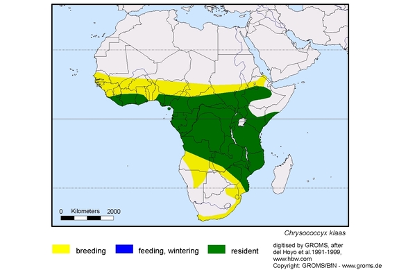 Verbreitungskarte von Chrysococcyx klaas
