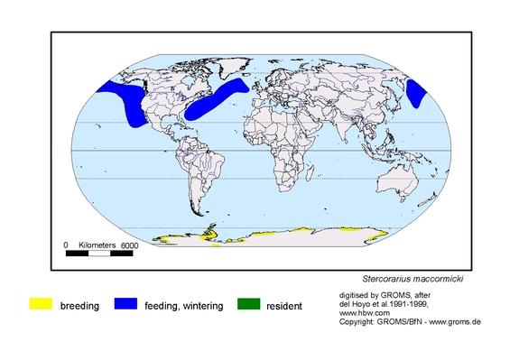 Verbreitungskarte von Stercorarius maccormicki