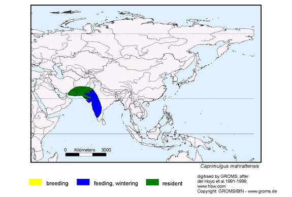 Verbreitungskarte von Caprimulgus mahrattensis