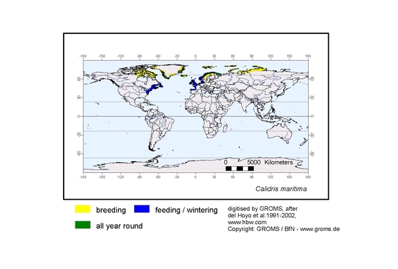 Verbreitungskarte von Calidris maritima