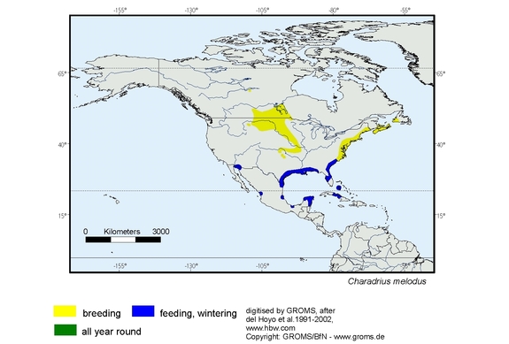 Verbreitungskarte von Charadrius melodus