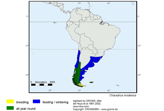 Verbreitungskarte von Charadrius modestus