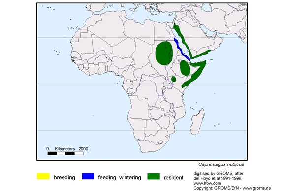 Verbreitungskarte von Caprimulgus nubicus