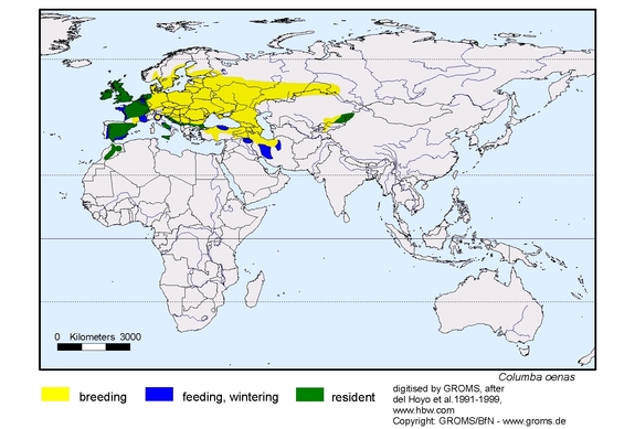 Verbreitungskarte von Columba oenas