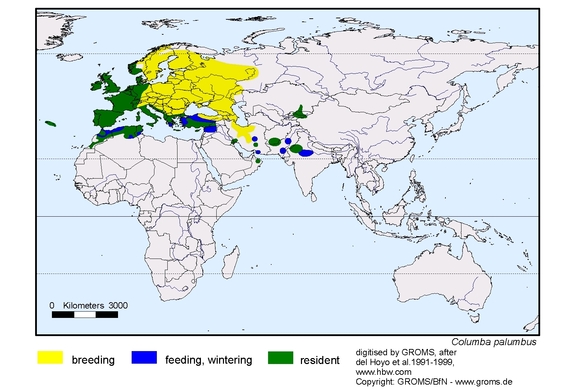 Verbreitungskarte von Columba palumbus