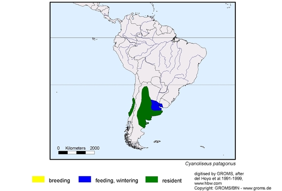 Verbreitungskarte von Cyanoliseus patagonus