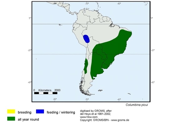 Verbreitungskarte von Columbina picui