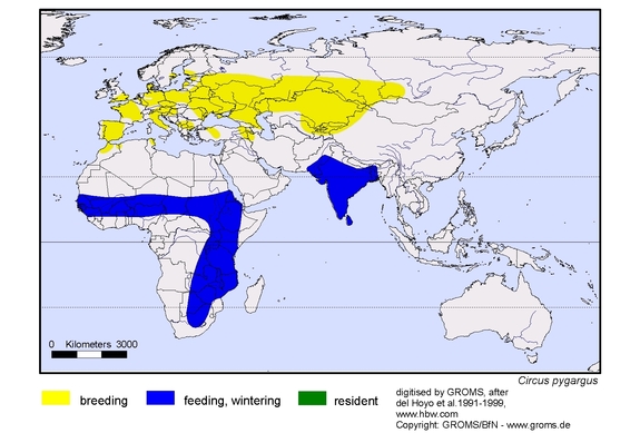 Verbreitungskarte von Circus pygargus