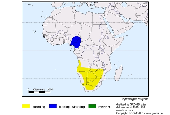 Verbreitungskarte von Caprimulgus rufigena