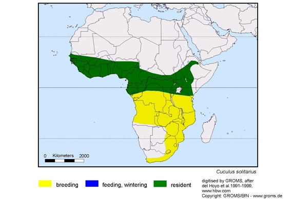 Verbreitungskarte von Cuculus solitarius