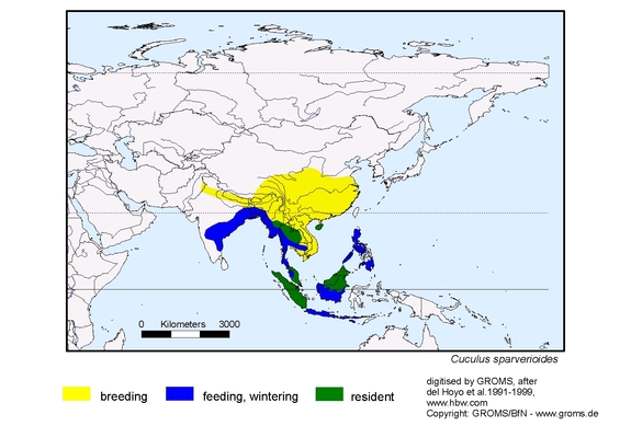 Verbreitungskarte von Cuculus sparverioides
