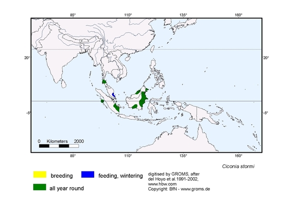 Verbreitungskarte von Ciconia stormi