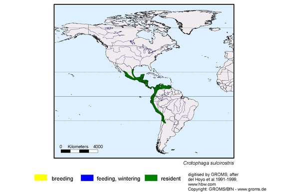 Verbreitungskarte von Crotophaga sulcirostris