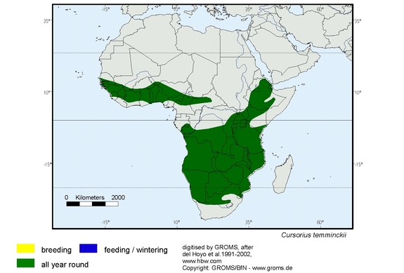 Verbreitungskarte von Cursorius temminckii