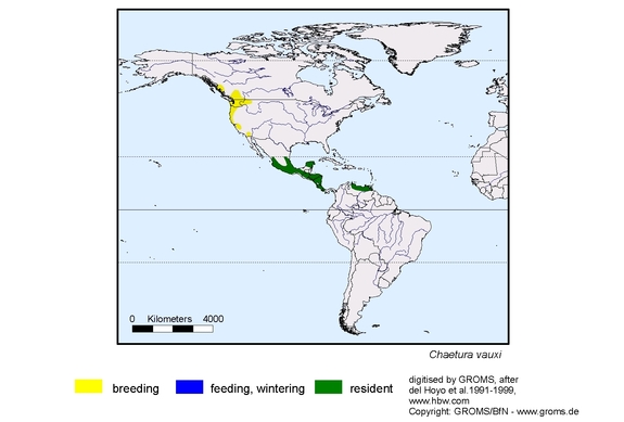 Verbreitungskarte von Chaetura vauxi