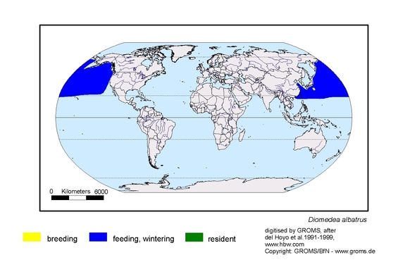Verbreitungskarte von Diomedea albatrus