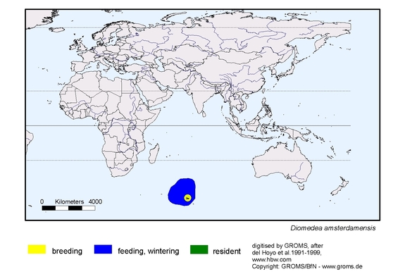 Verbreitungskarte von Diomedea amsterdamensis