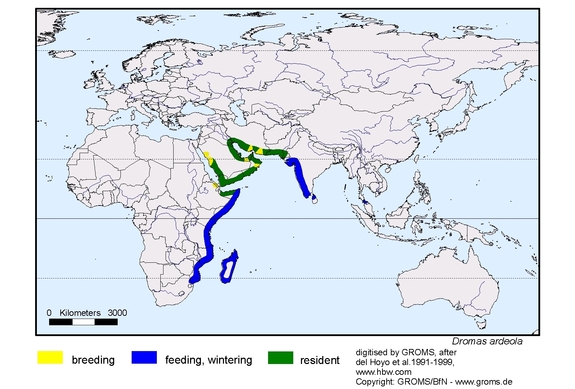 Verbreitungskarte von Dromas ardeola
