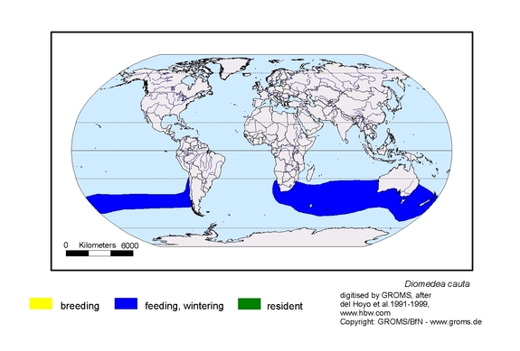 Verbreitungskarte von Diomedea cauta