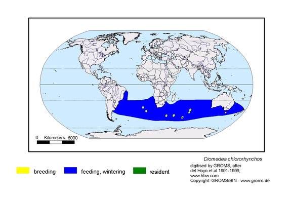 Verbreitungskarte von Diomedea chlororhynchos