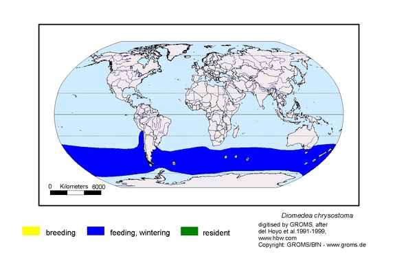 Verbreitungskarte von Diomedea chrysostoma