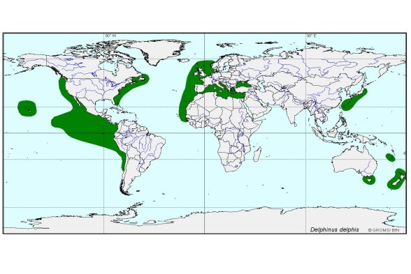 Verbreitungskarte von Delphinus delphis