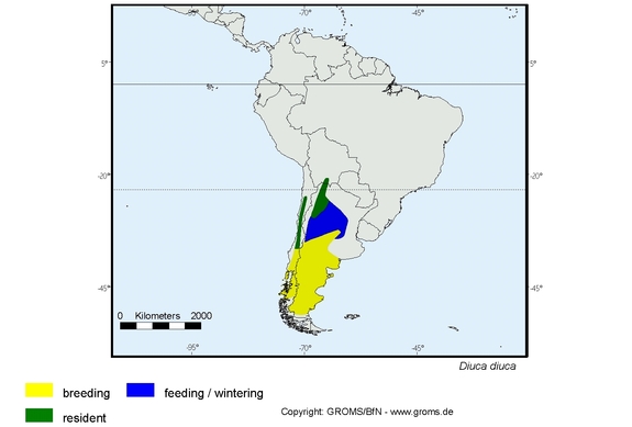Verbreitungskarte von Diuca diuca