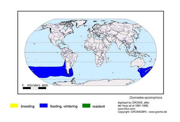 Verbreitungskarte von Diomedea epomophora