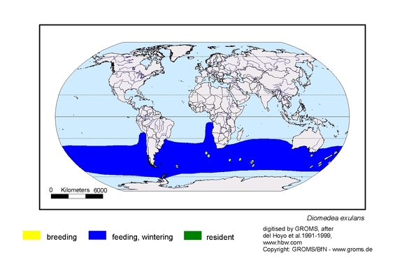 Verbreitungskarte von Diomedea exulans