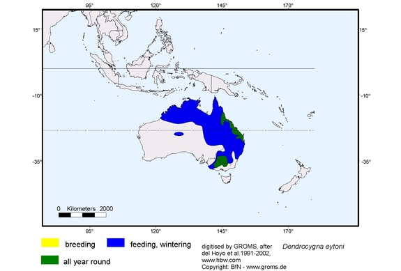 Verbreitungskarte von Dendrocygna eytoni