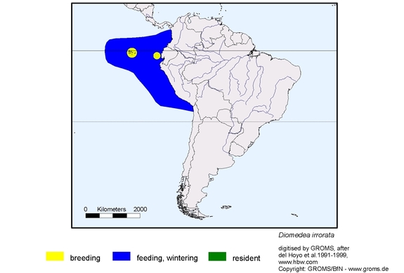 Verbreitungskarte von Diomedea irrorata