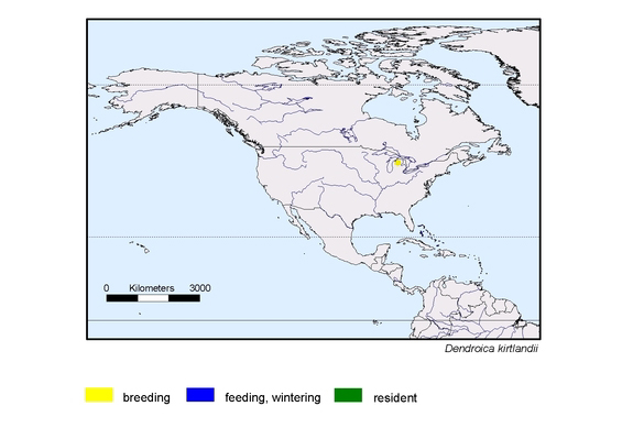 Verbreitungskarte von Dendroica kirtlandii