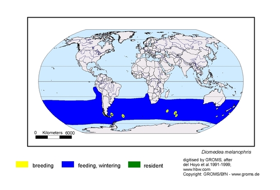 Verbreitungskarte von Diomedea melanophris