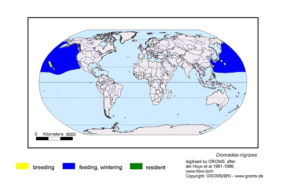 Verbreitungskarte von Diomedea nigripes