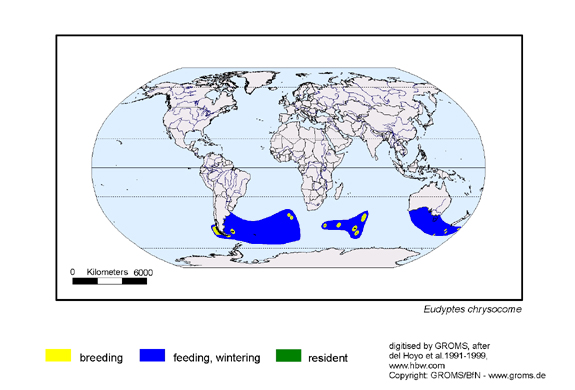 Verbreitungskarte von Eudyptes chrysocome